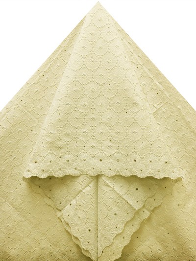 SLV543 - Big Perforated Voile Lace
